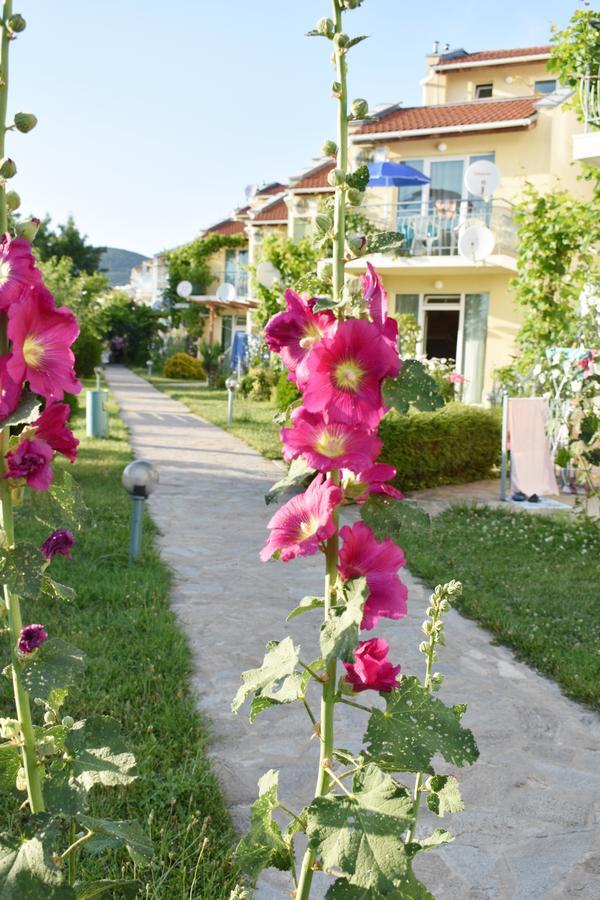 Nushev Hotel Sveti Vlas Dış mekan fotoğraf