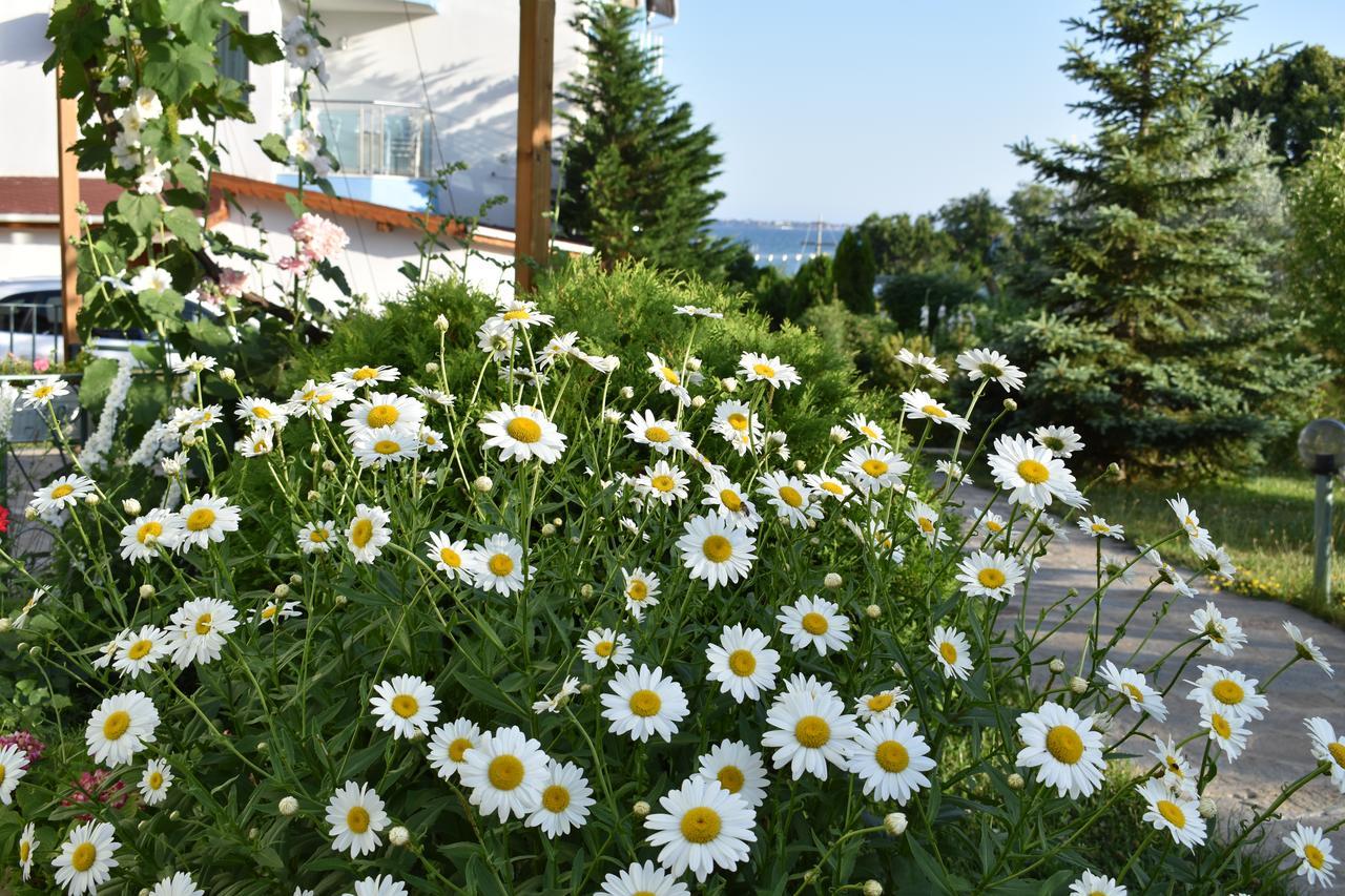 Nushev Hotel Sveti Vlas Dış mekan fotoğraf